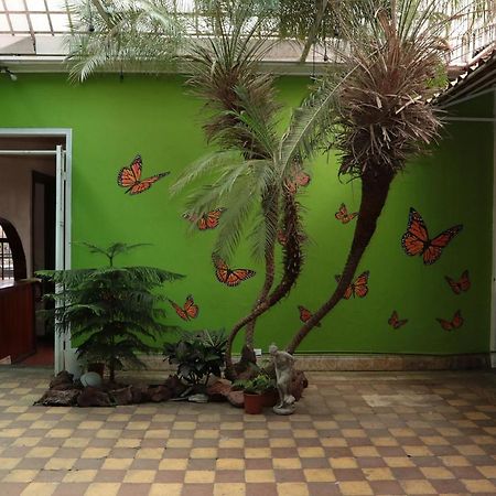 Casa Mayela Guest House San José Dış mekan fotoğraf