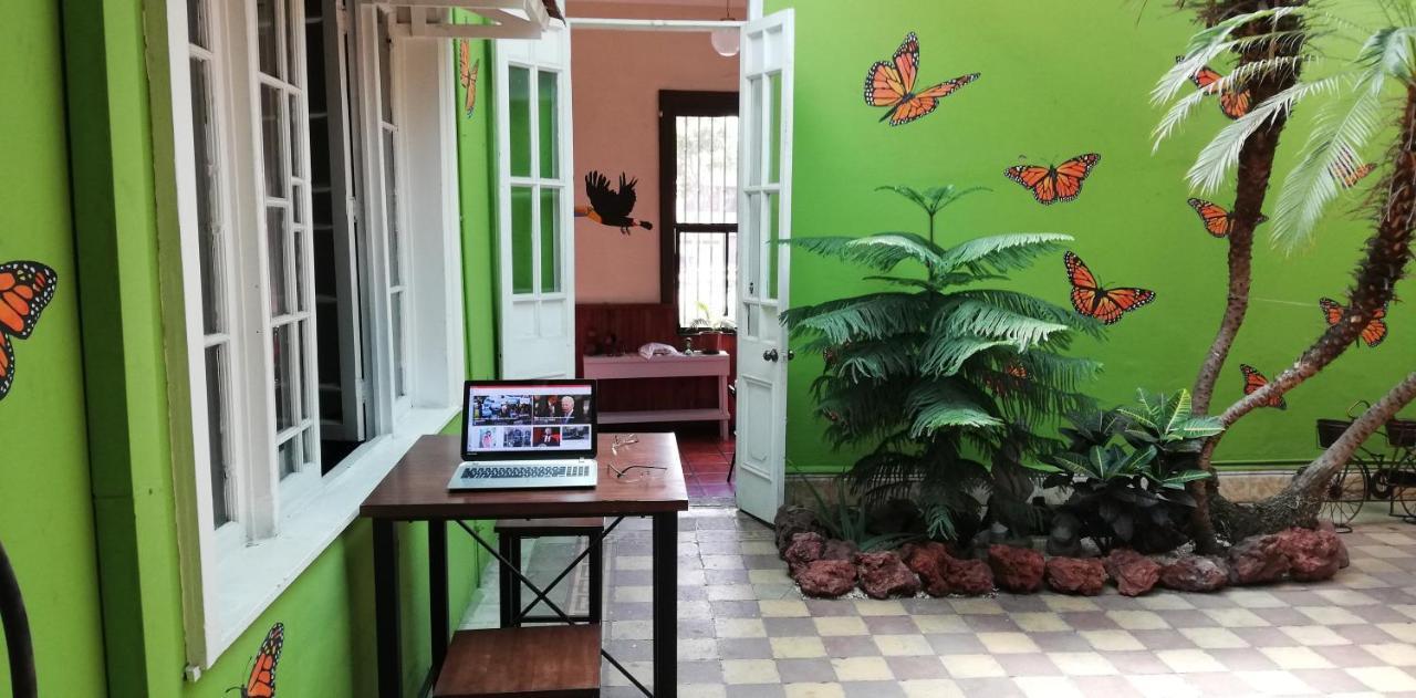 Casa Mayela Guest House San José Dış mekan fotoğraf