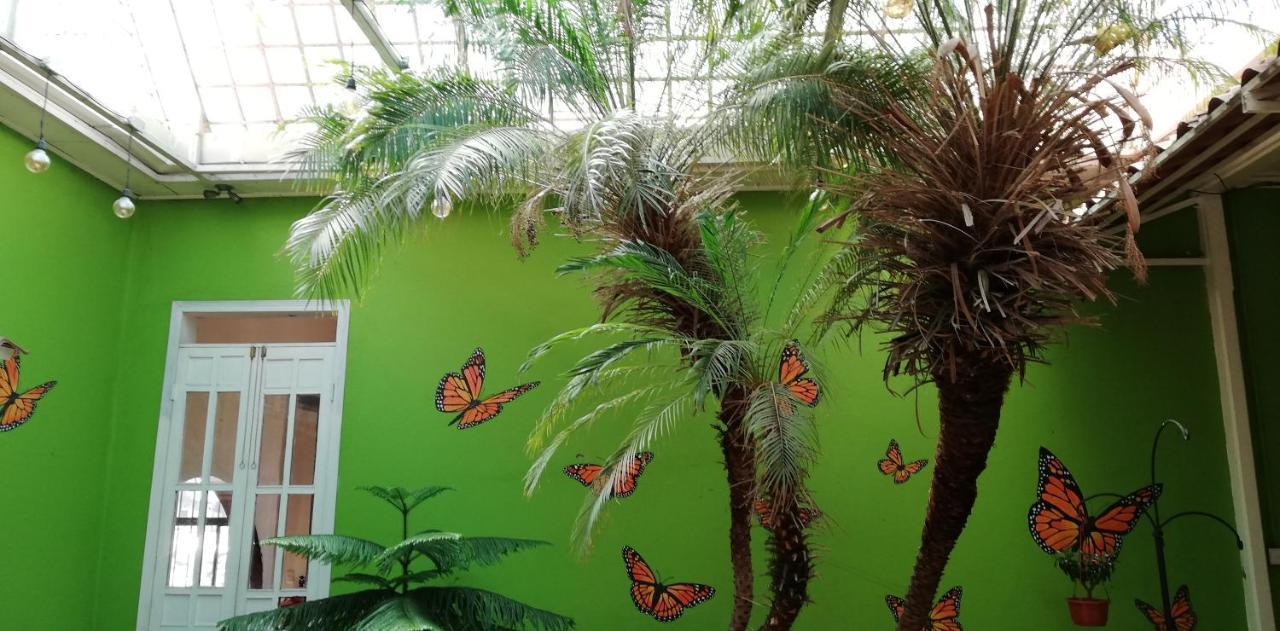Casa Mayela Guest House San José Dış mekan fotoğraf
